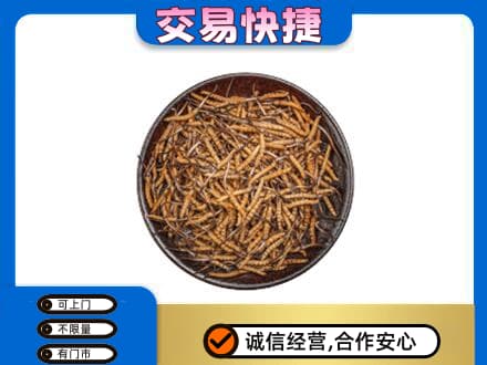 遵义市余庆礼品回收虫草.jpg